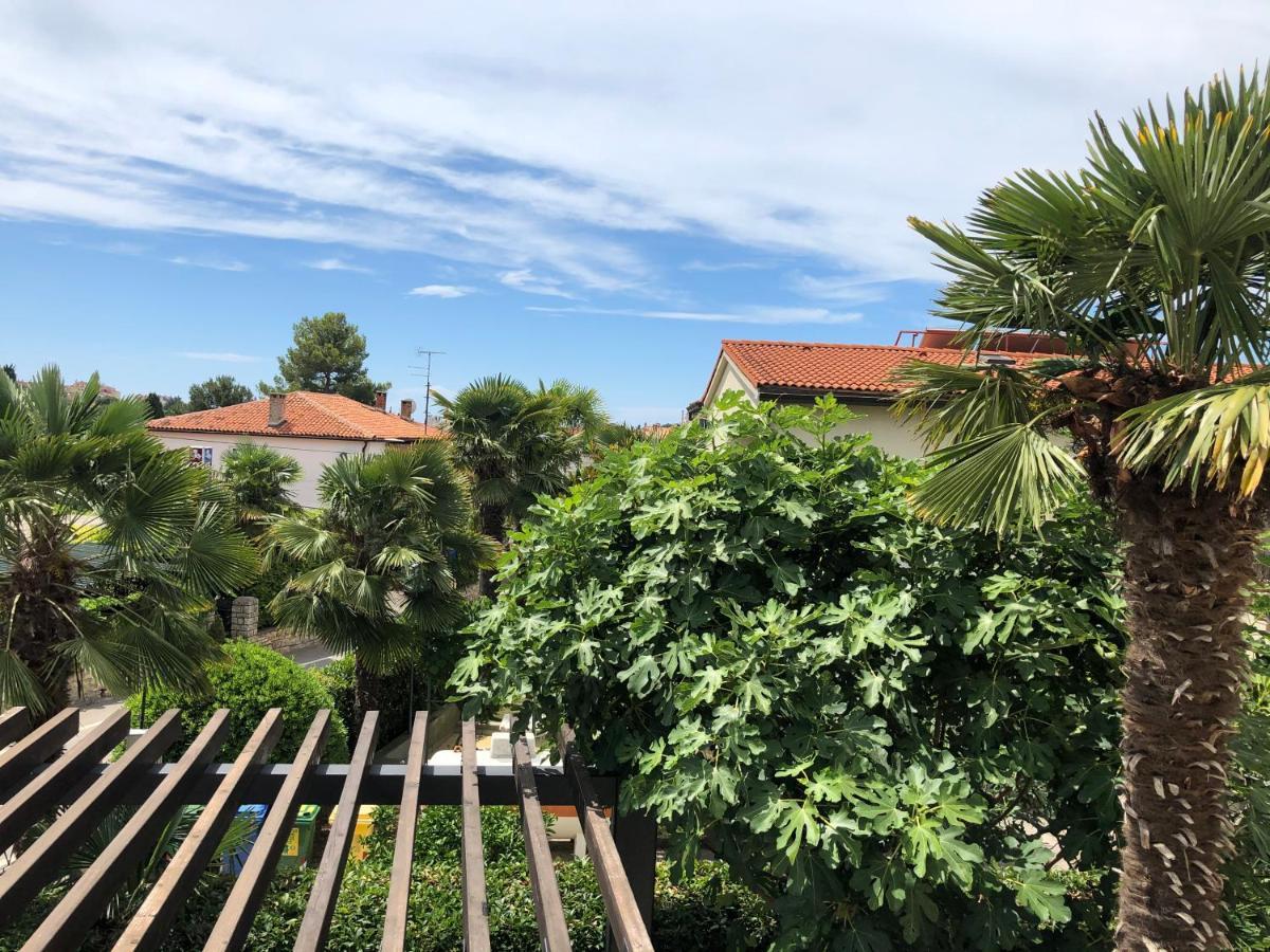 Lycia 2020 * Rovinj